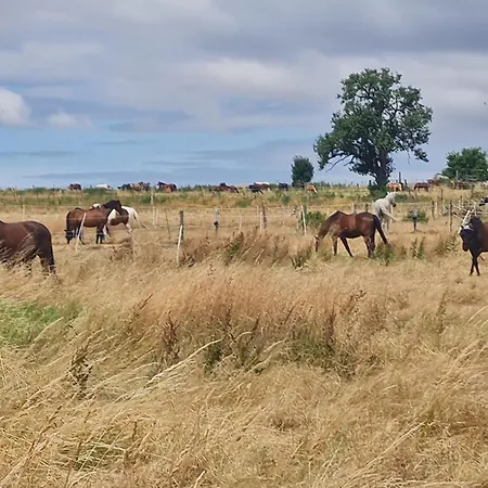 Super Schoene Monteurunterkunft, Handwerkerwohnung, Naehe Hanau Und Frankfurt Apartmán Nidderau