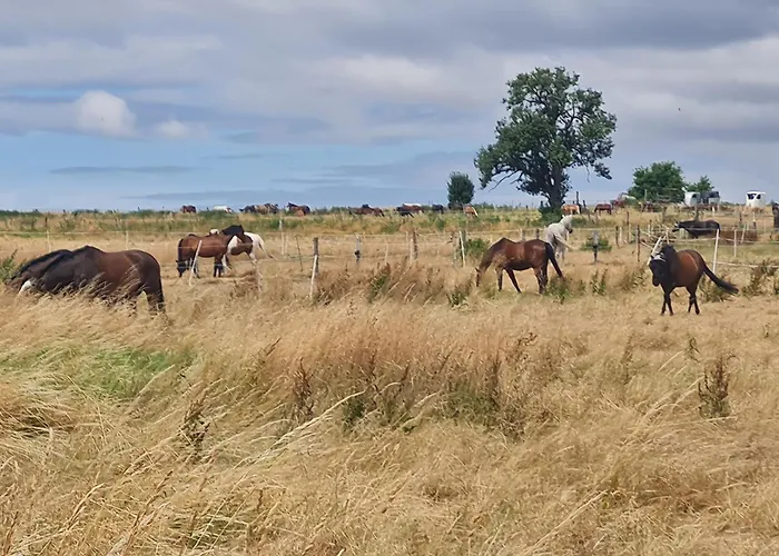 Super Schoene Monteurunterkunft, Handwerkerwohnung, Naehe Hanau Und Frankfurt Apartamento Nidderau
